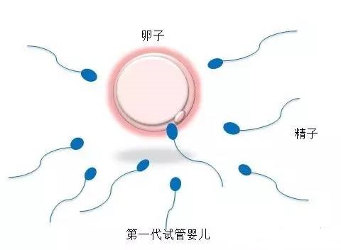 清砚堂中医馆